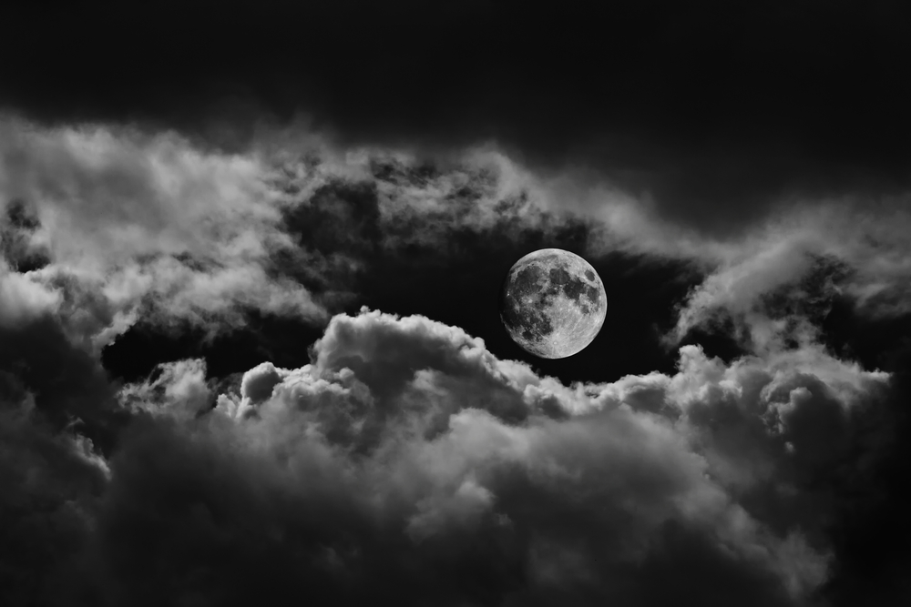 New Nocturnal Stealer malware lets hackers harvest data for a small price and little effort New Nocturnal Stealer malware lets hackers harvest data for a small price and little effort